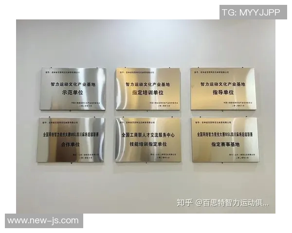 探索体育俱乐部的多元化业务范围与发展潜力分析